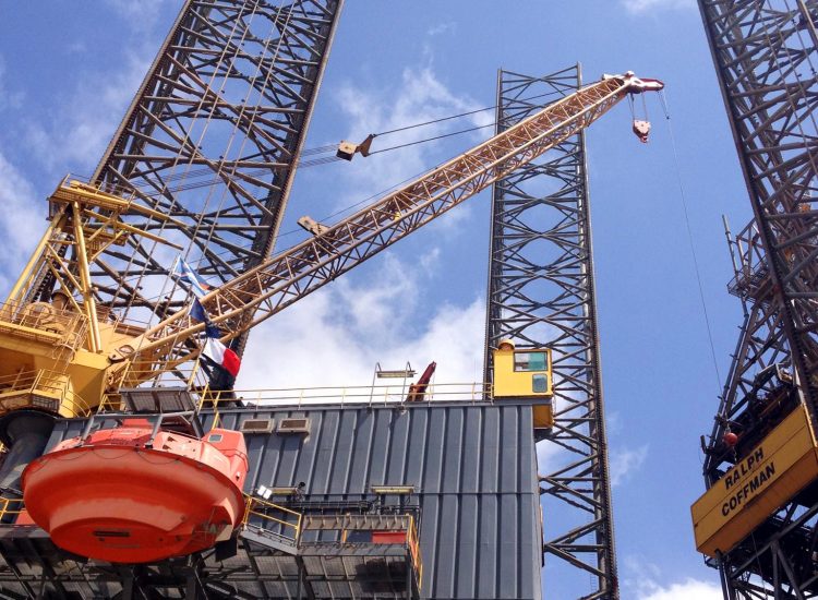 Survey Support Services